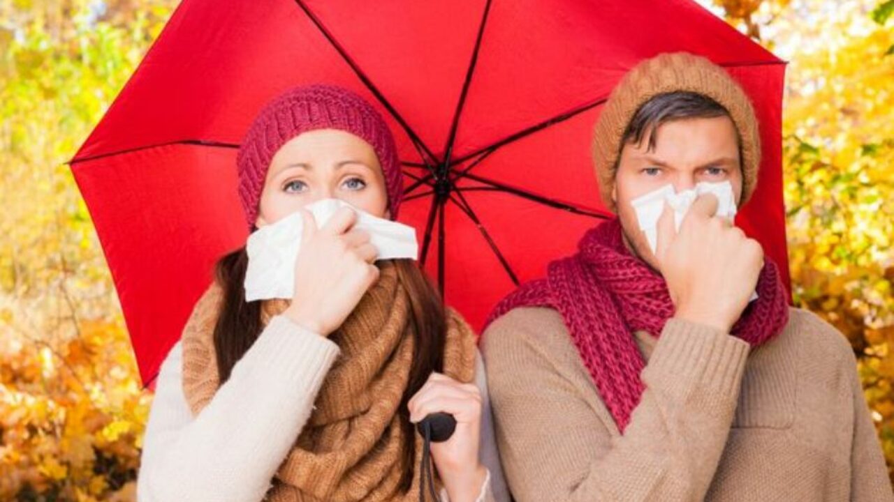 Makanan yang Membantu Tubuh Tangguh Menghadapi Musim Makanan yang Membantu Tubuh Tangguh Menghadapi Musim